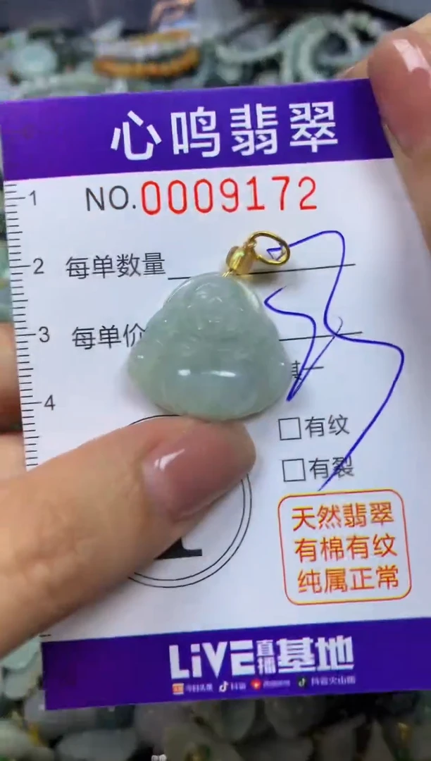 翡翠未镶嵌颈饰闪购009172