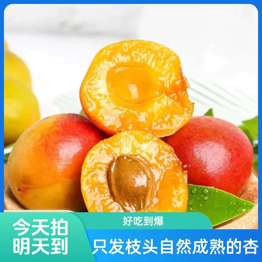 陕西胭脂红杏次日达，熟透的甜杏，今天拍明天到。2-4斤陕西省