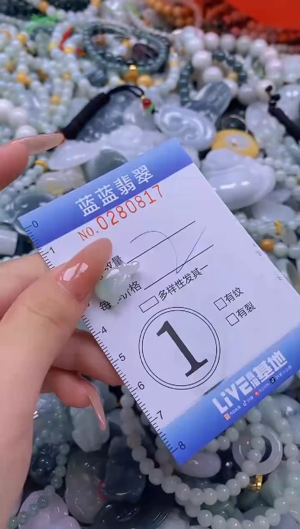 翡翠未镶嵌颈饰闪购0280817