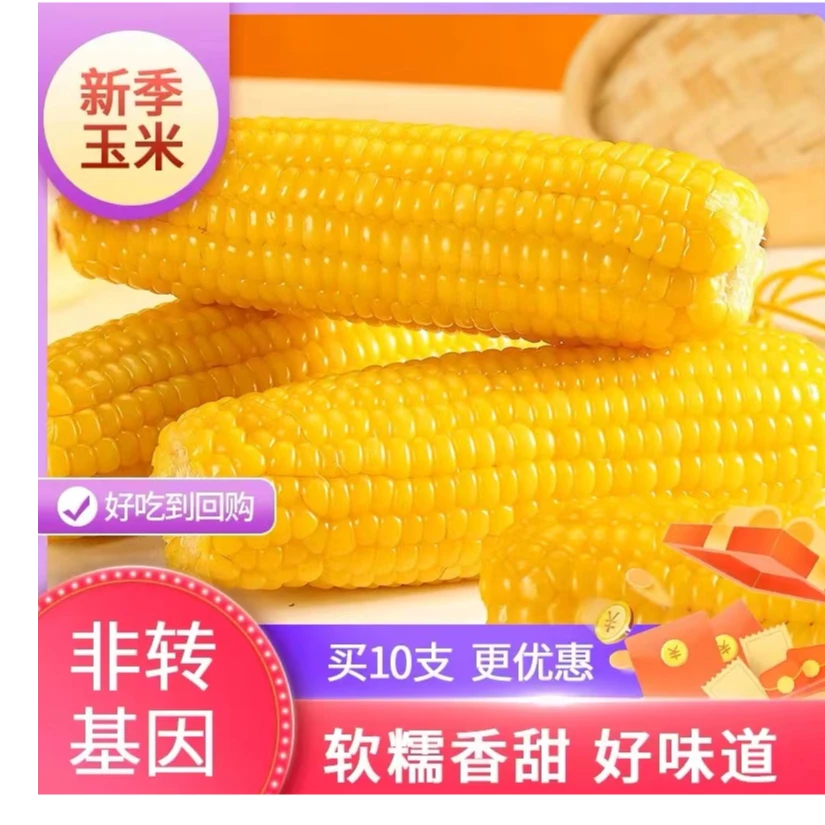 东北黄糯玉米银铝箔包装250g-320g五斤以上（十根）
