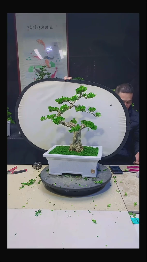 无花朵心**来11111111111