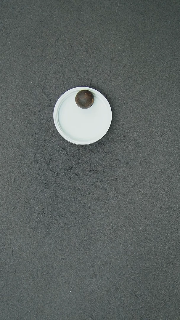 【闪购商品】沉香吊坠1.0棋楠老料单珠挂坠