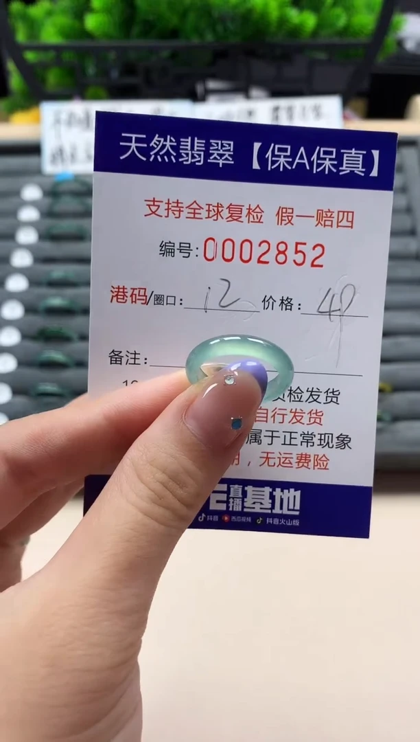 未镶嵌戒指翡翠天然  2852