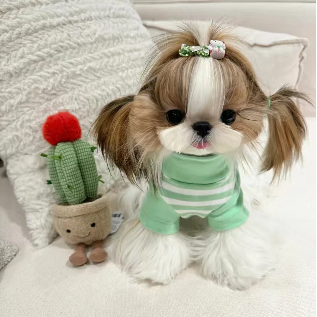 （喜缘优品）T狗狗活体