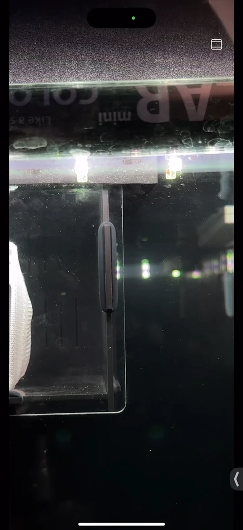 灯科鱼满【157】800