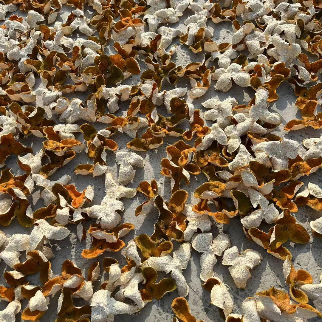 2024新会柑产区陈皮老陈皮正宗新会陈皮8年老树回甜花果香