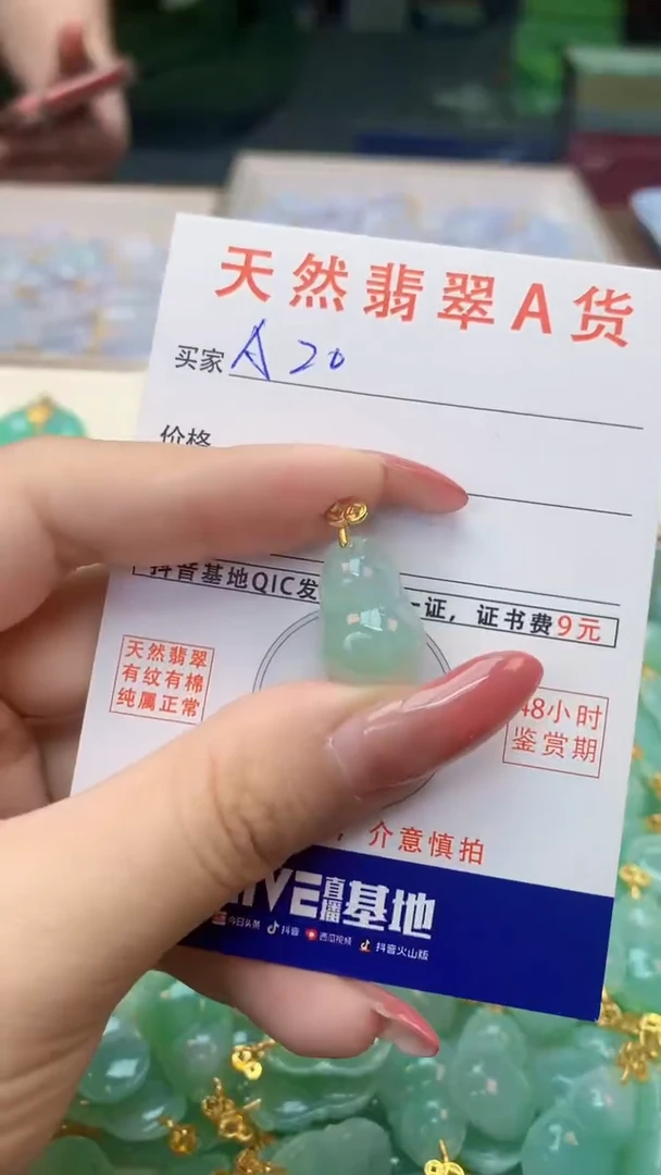 颈饰未镶嵌翡翠天然A货翡翠挂件