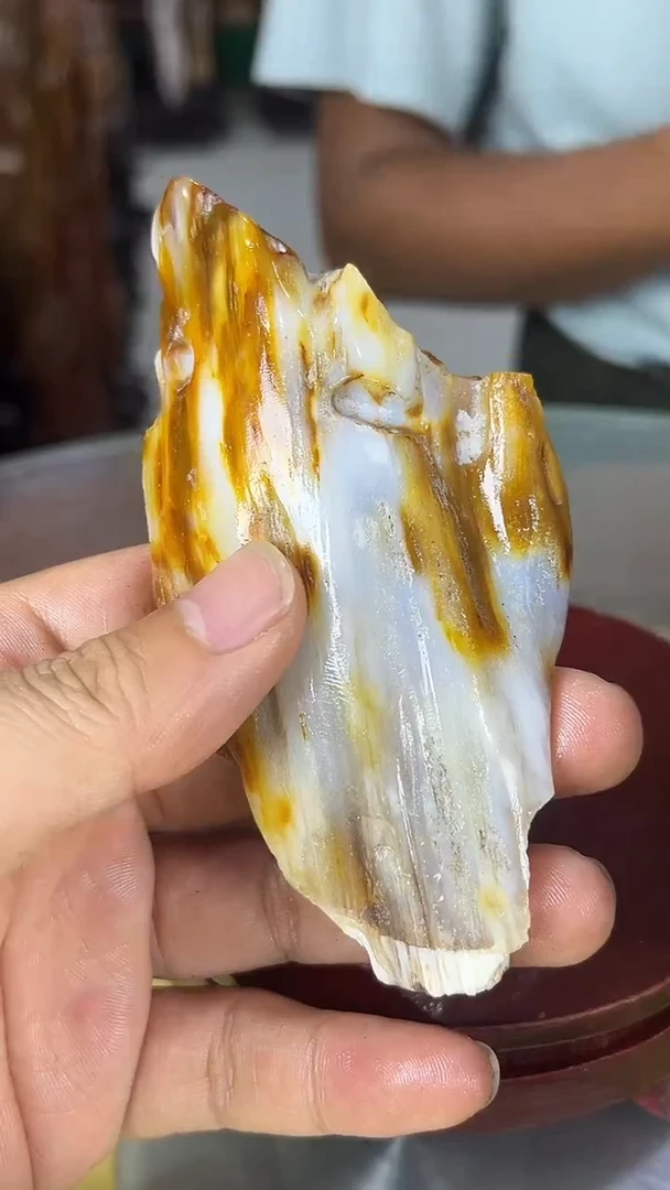缅甸天然树化玉手把件