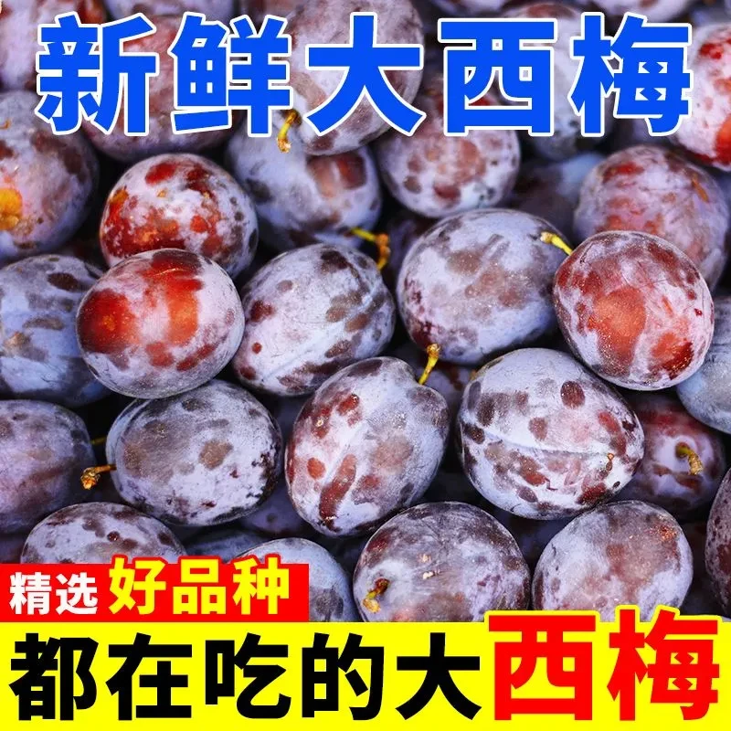 陕西西梅新鲜应季水果净重4.5斤