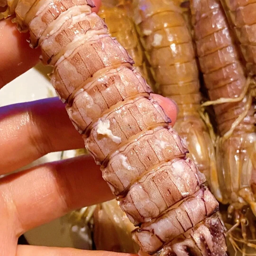 皮皮虾包肥中号9-12厘米空壳包赔熟冻虾婆虾蛄冷冻濑尿虾富贵虾X3