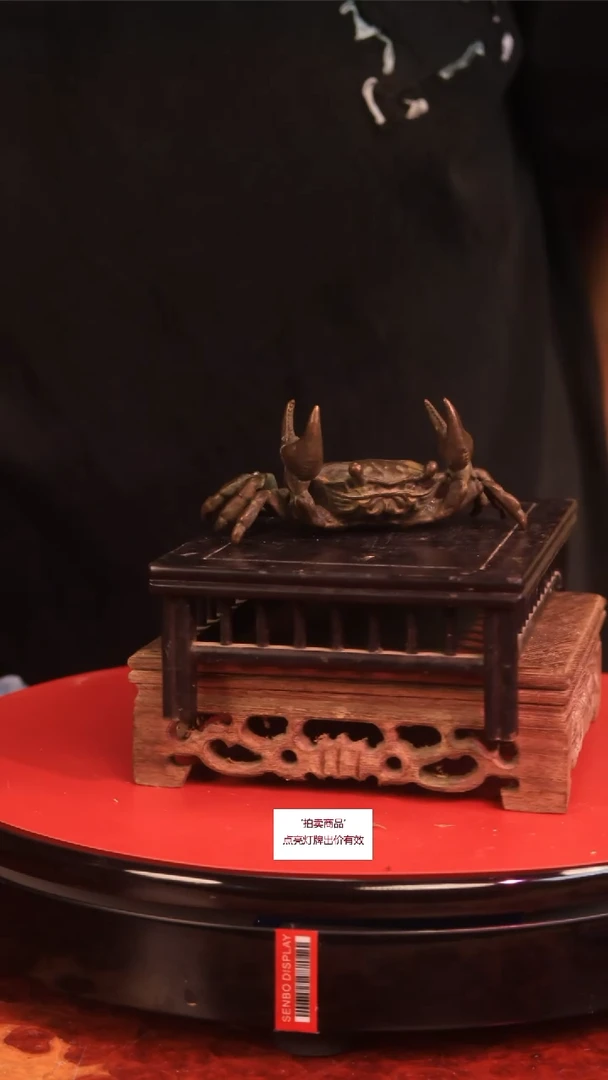 无花朵志**堂Y53草本植物