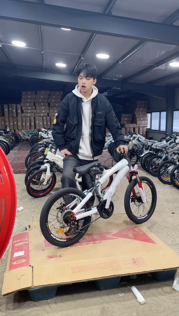 20寸-21速-灰【默认微瑕，不退不换，介意勿拍】