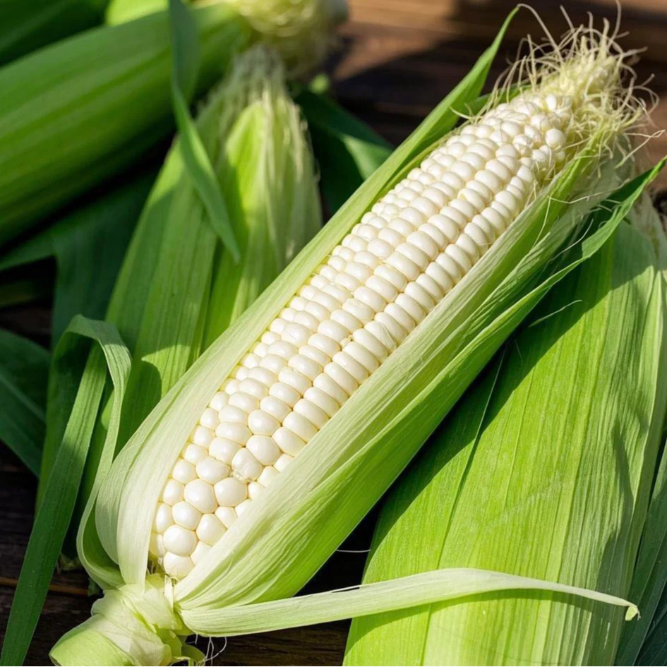 老人小孩都爱吃的香甜软白糯玉米