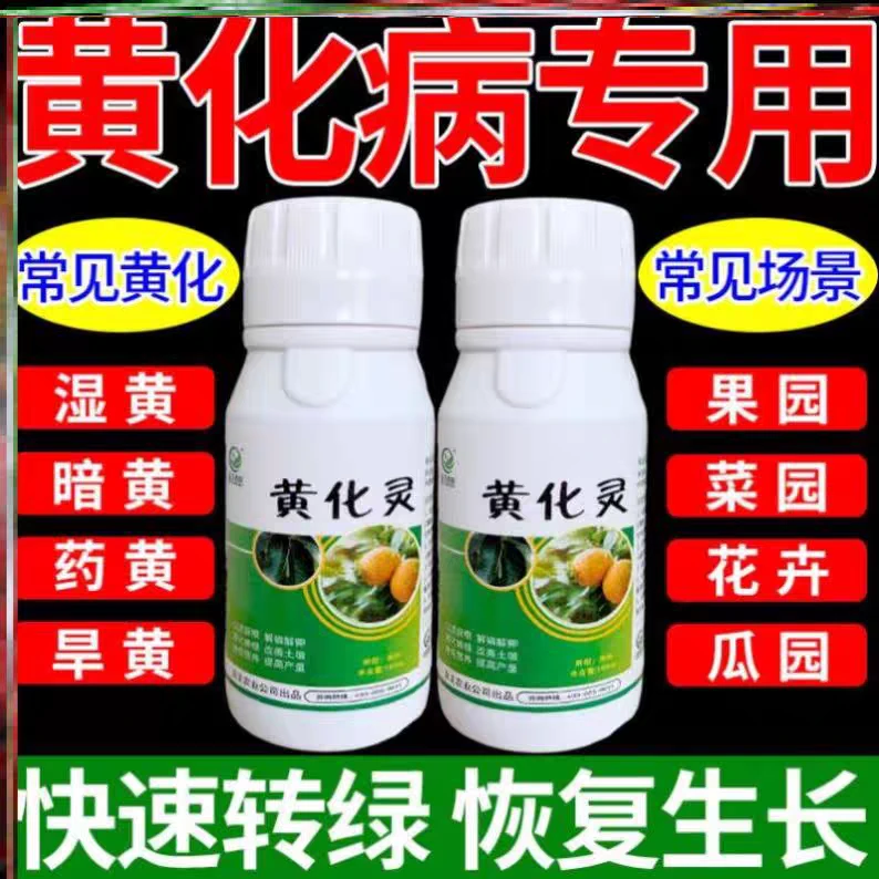 黄化灵农药瓜果蔬菜黄叶黄斑落花落果减产黄斑病果树黄龙病专用