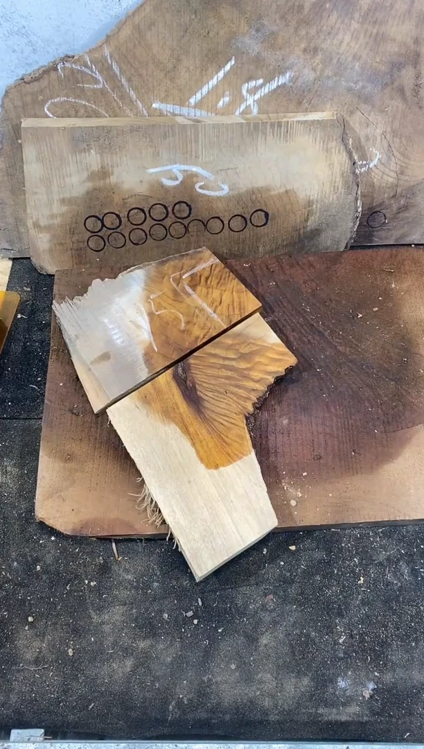 山**顶金丝楠小叶桢楠1