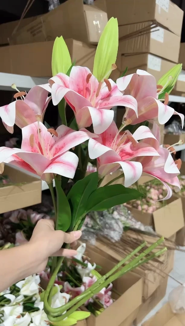 3枝粉色大百合