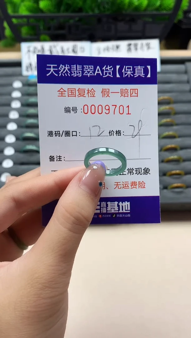 未镶嵌戒指翡翠天然  9701