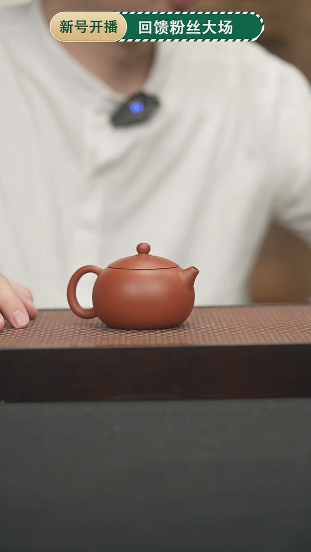 茶壶紫砂47朱泥西施壶