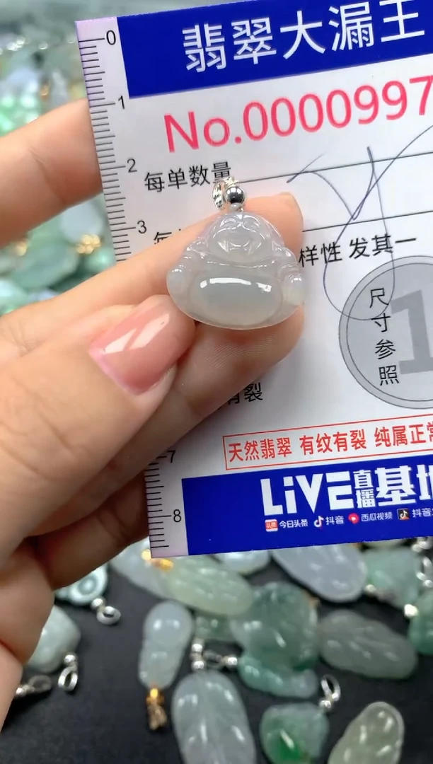颈饰未镶嵌翡翠995