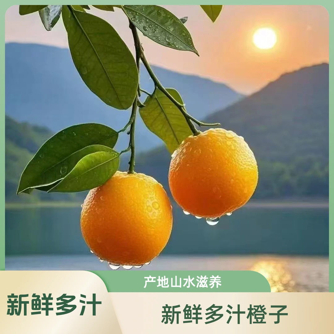 湖北秭归九月红现摘现发，香甜多汁手剥橙