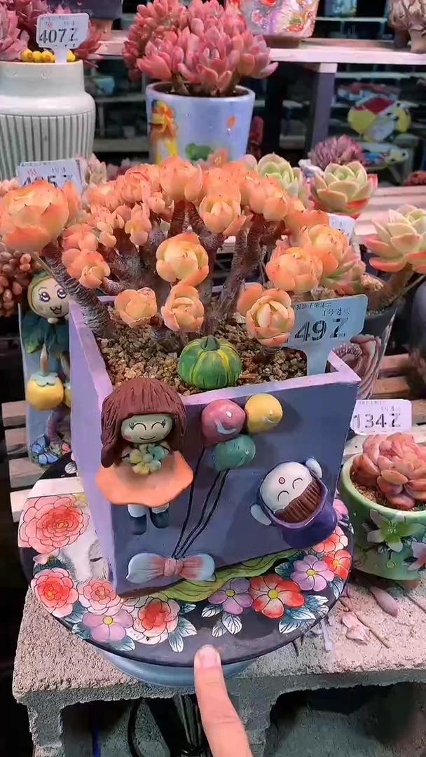 【闪购商品】149ZZZ