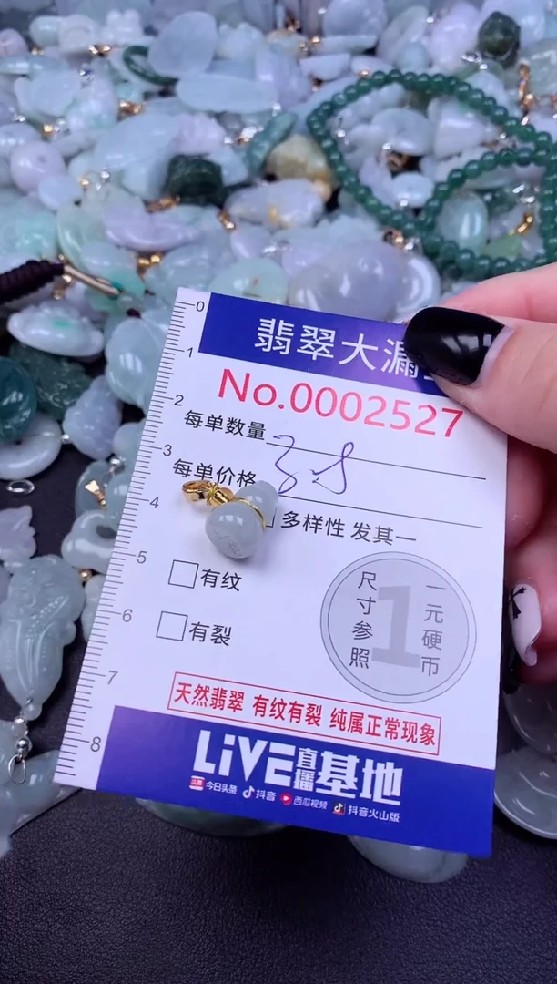 颈饰未镶嵌翡翠2527