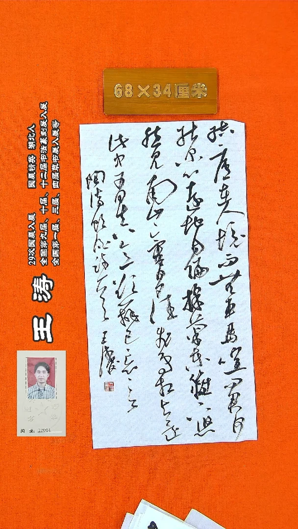 书法134a王涛书法作品