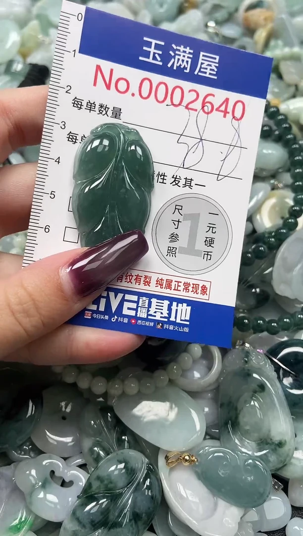 颈饰未镶嵌翡翠2640