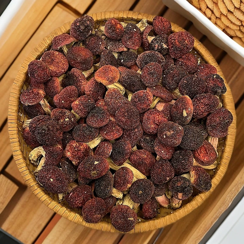 红菇中标菇月子菇汤头鲜美炖煮清香当季新菇