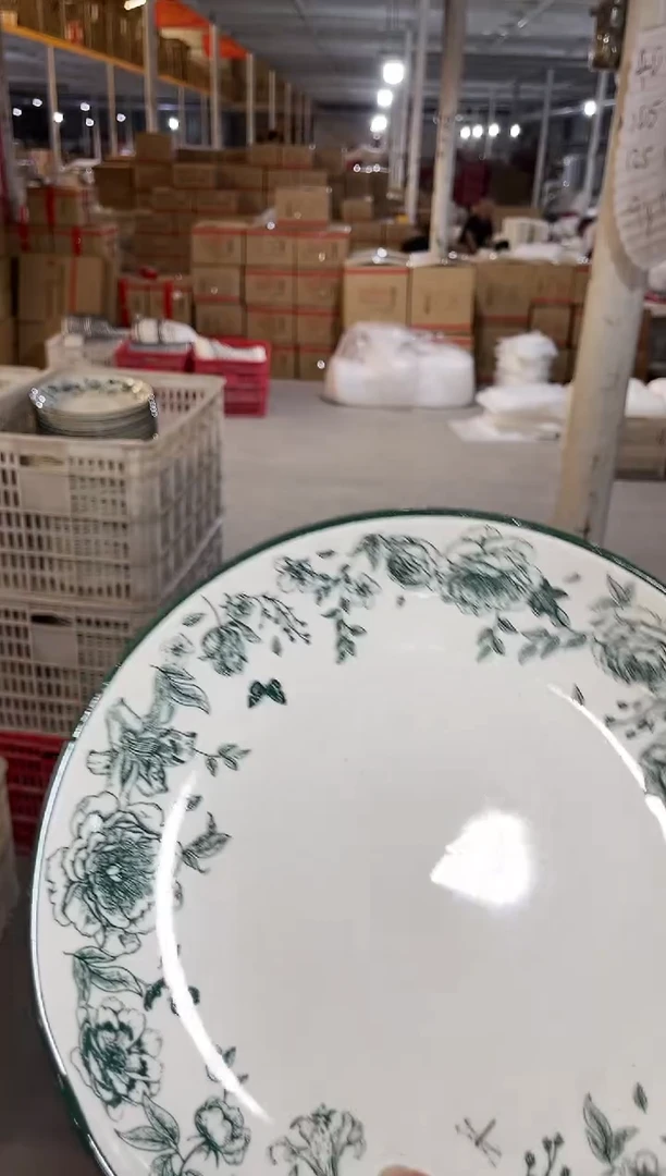 白瓷10寸盘子19.9两个