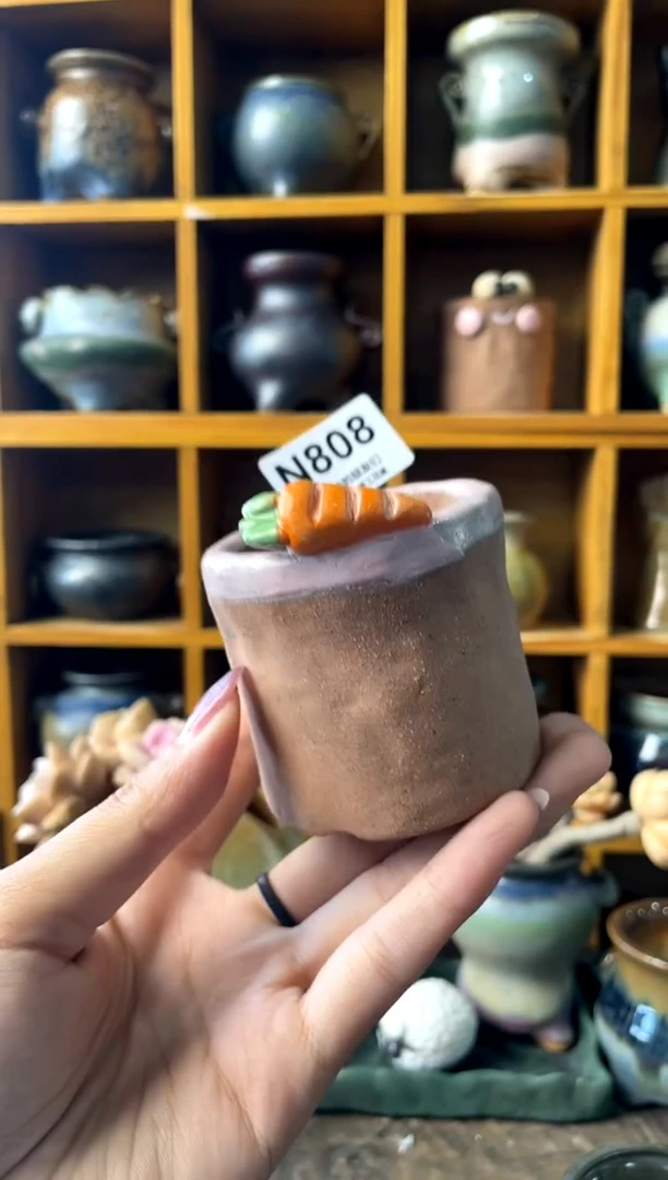 808内口4.5【多肉花盆多肉盆】