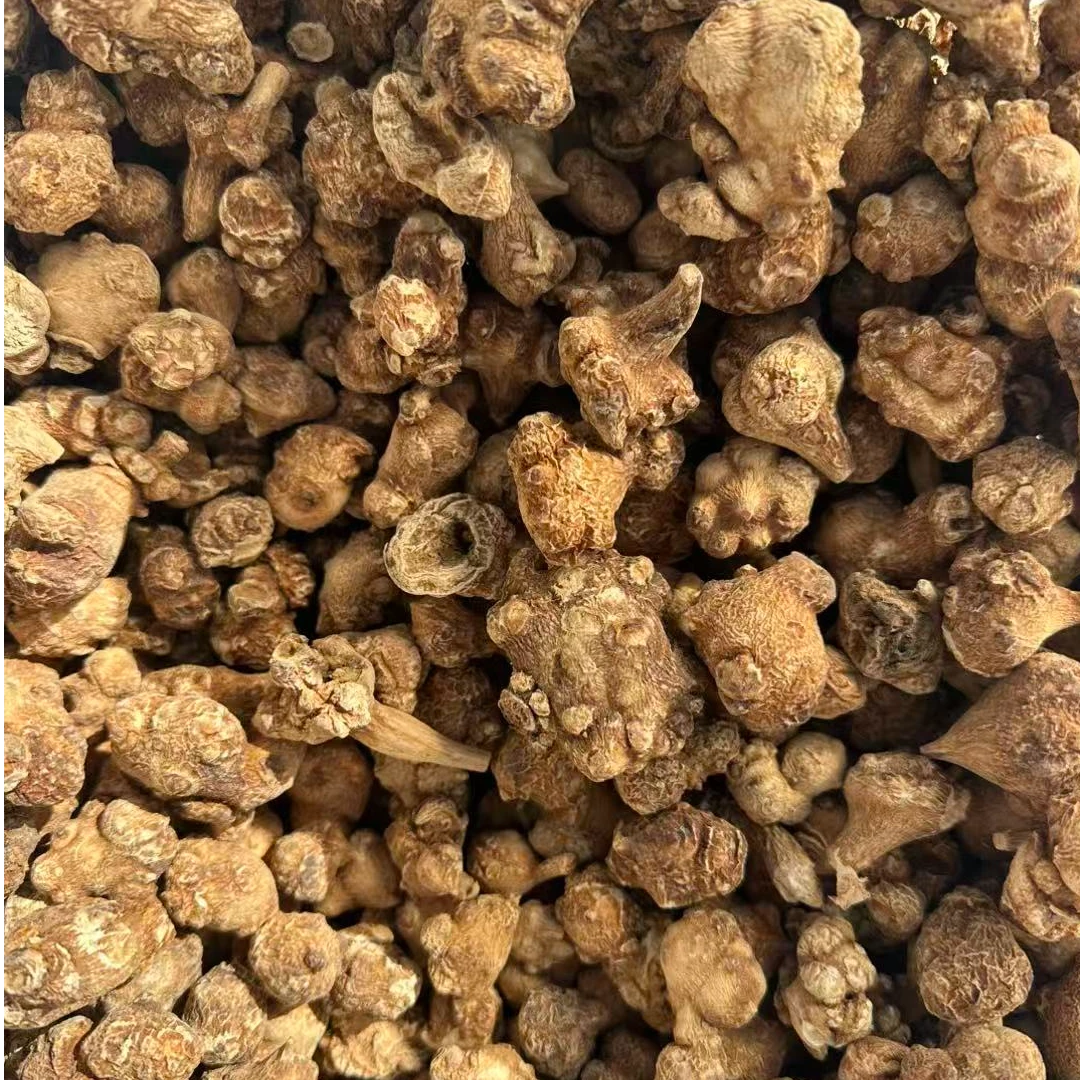 藏三七王（珠子参王）