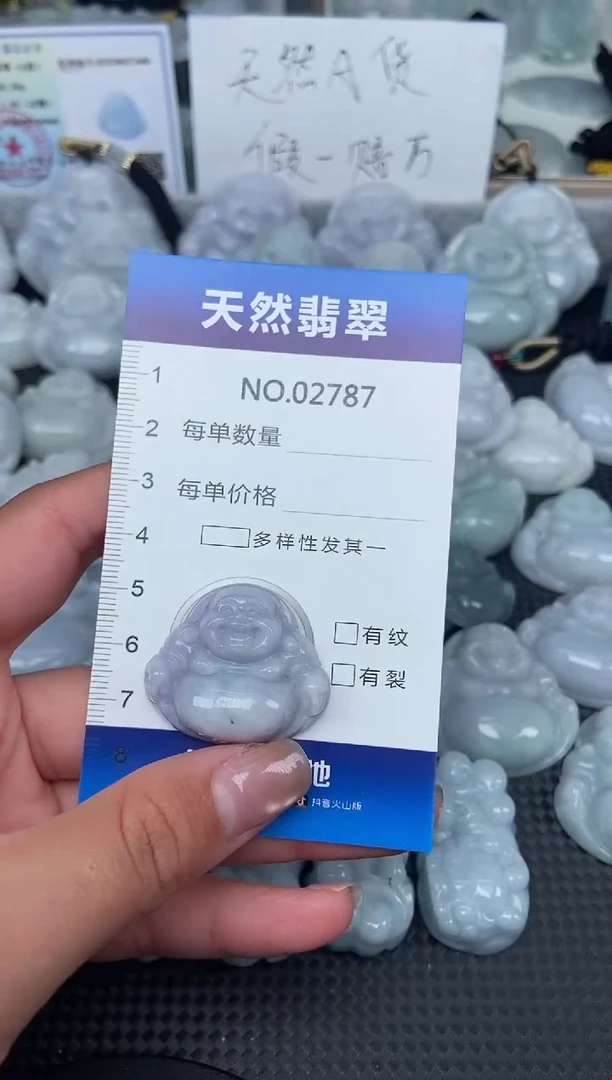 颈饰未镶嵌翡翠纯天然A货翡翠2787