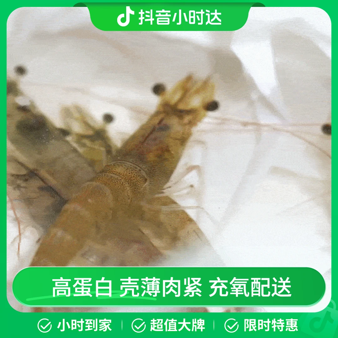 鲜活南美白对虾(基围虾30-40只)500g