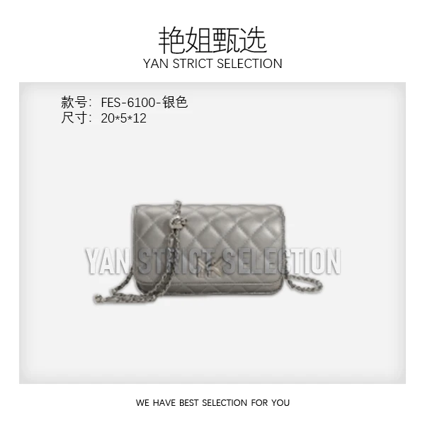 【艳姐甄选】FES-6100-银色-轻奢时尚百搭新款女包