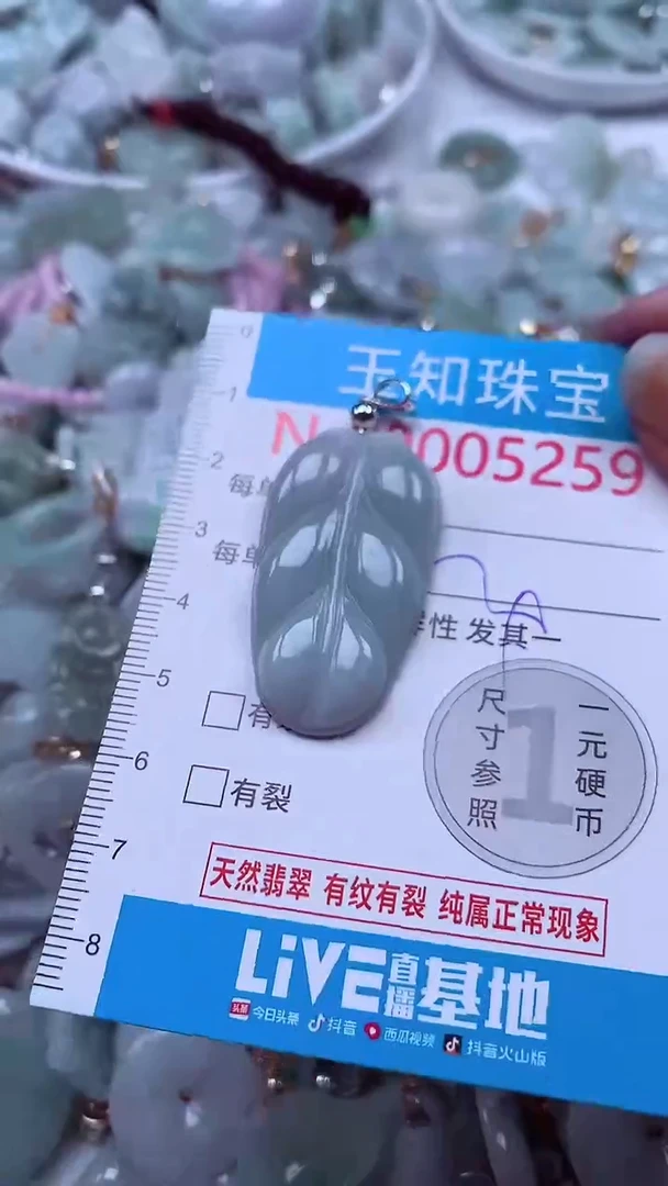 吊坠(不含链)未镶嵌翡翠5259