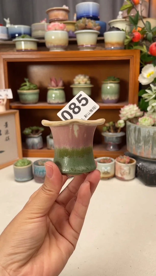 瓷片085知木小芳花盆
