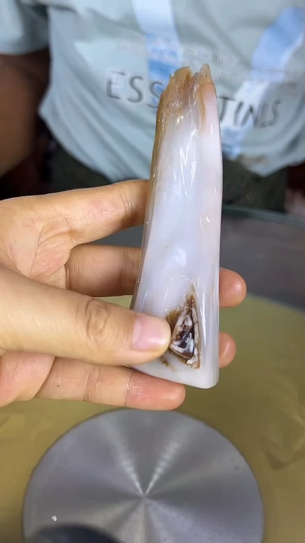 未镶嵌珠宝奇石硅化玉缅甸天然树化玉摆件