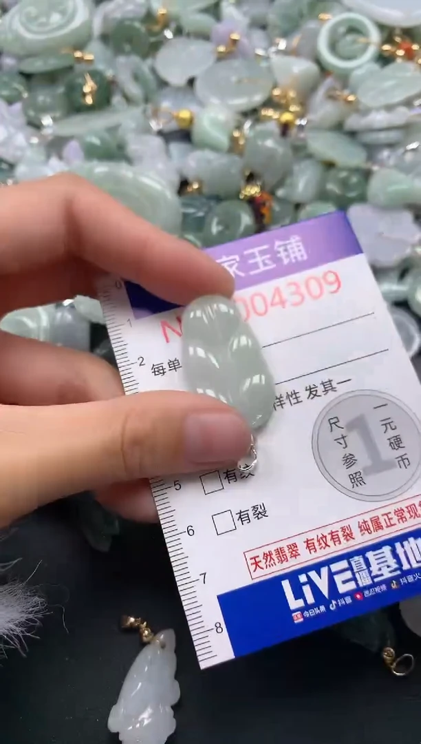 颈饰未镶嵌翡翠4309