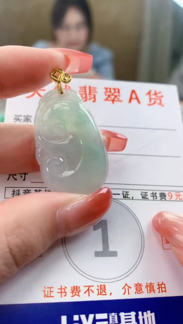 颈饰未镶嵌翡翠 天然A货翡翠挂件