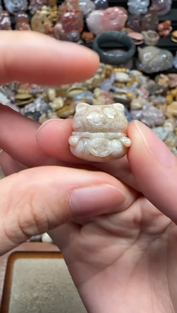 颈饰未镶嵌硅化珊瑚（珊瑚玉）455