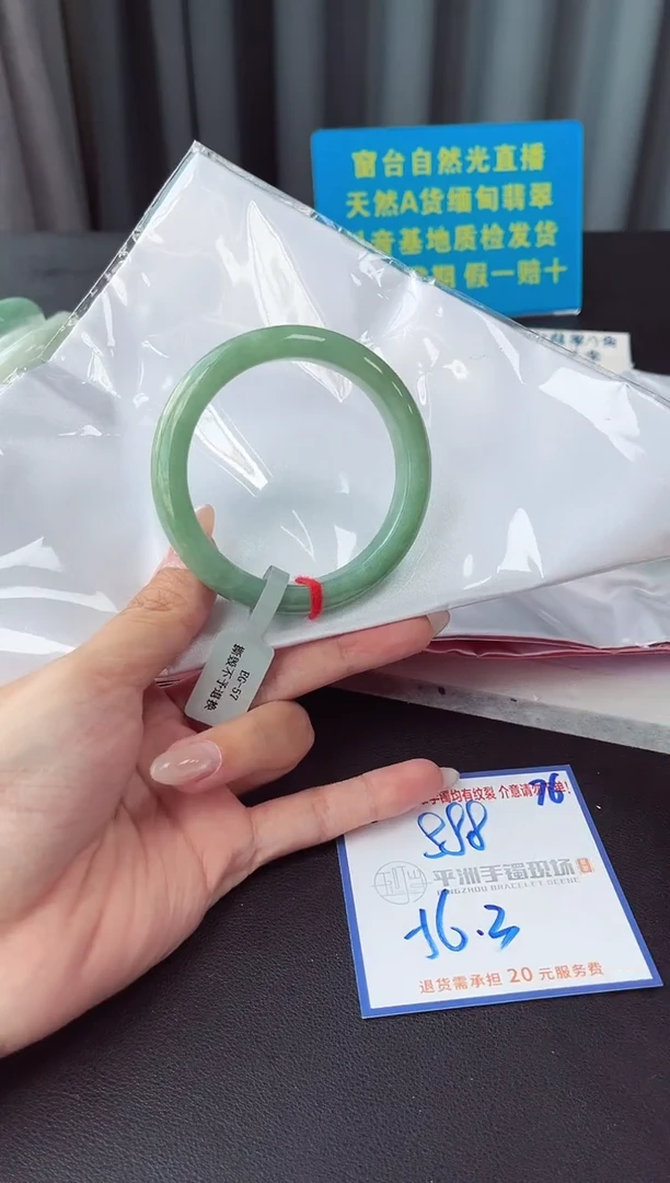 未镶嵌手镯翡翠11111