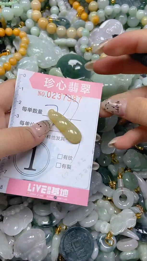翡翠未镶嵌颈饰闪购0237987