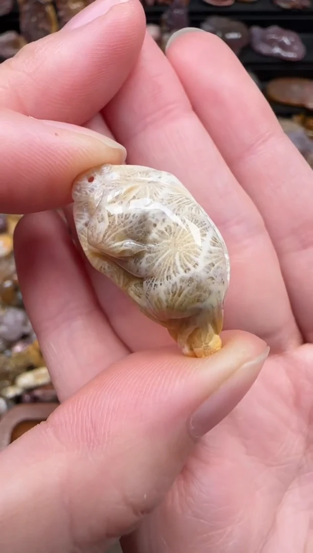颈饰未镶嵌硅化珊瑚（珊瑚玉）517