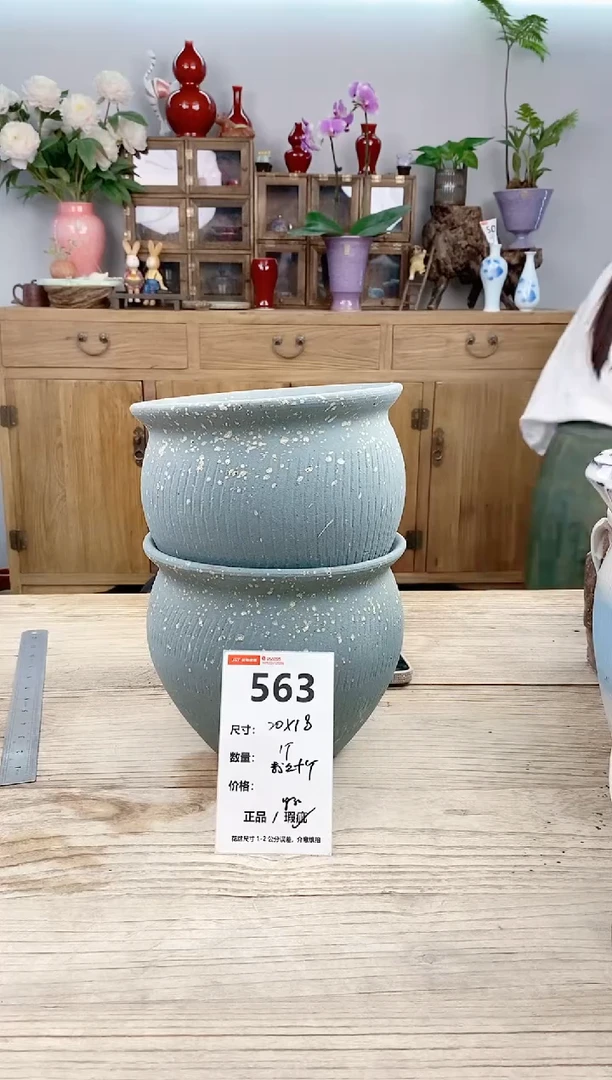 小玩子花盆直播号563