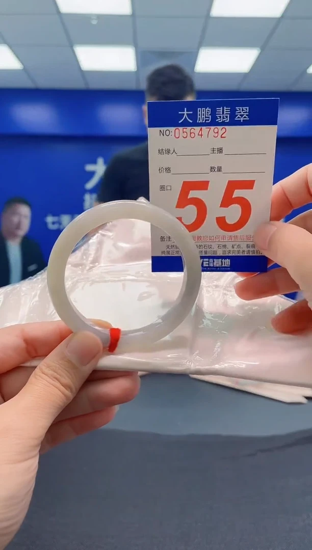未镶嵌手镯翡翠AAAAAAAAA