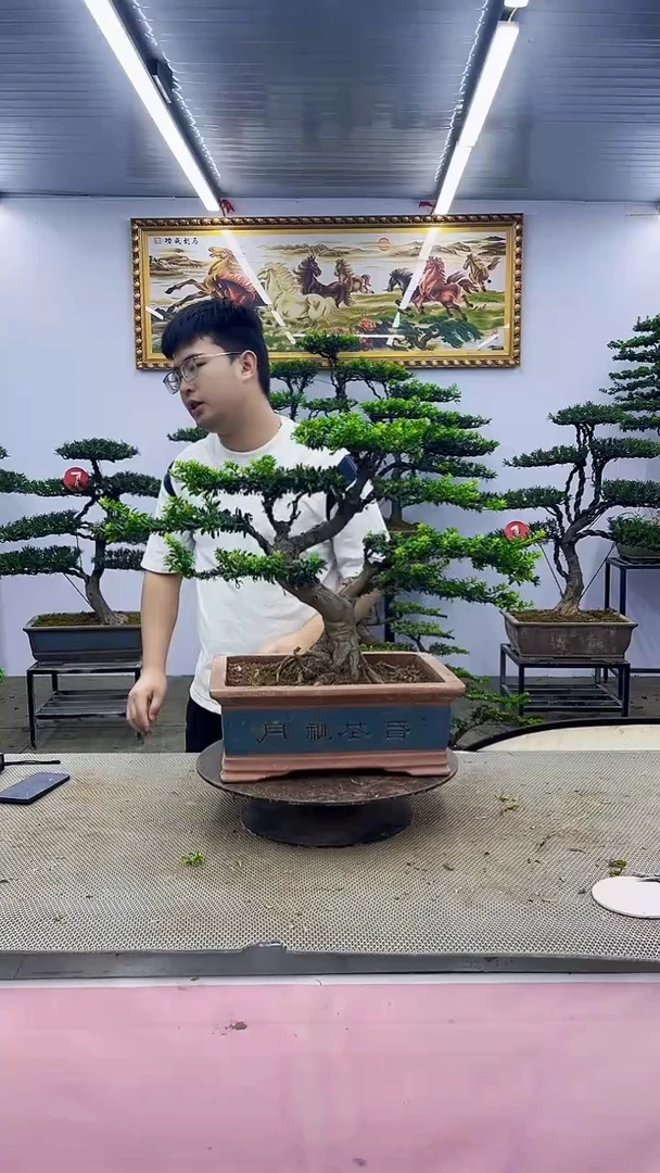 无花朵一物一拍，所见即所得