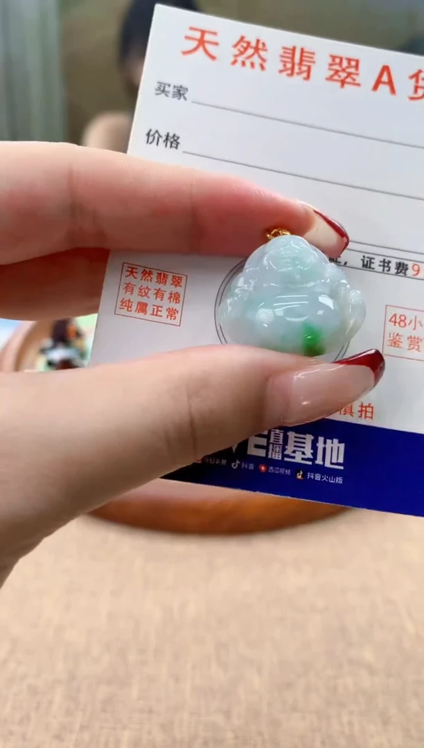 颈饰未镶嵌翡翠天然A货翡翠挂件