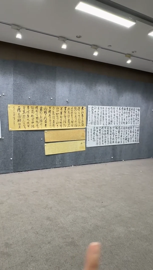 【闪购商品】书法pmw不二轩旗舰店书法LAZ1