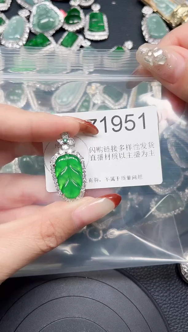 【闪购商品】翡翠颈饰未镶嵌赠皮绳1951